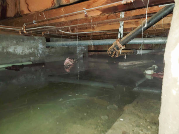 Best 24/7 water damage repair  in Smackover, AR