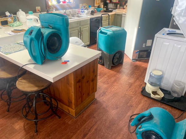 Best Fire Damage Restoration  in Smackover, AR
