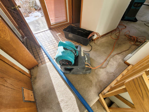 Water damage restoration process in Smackover, AR