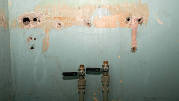 Best Water damage restoration specialists  in Smackover, AR