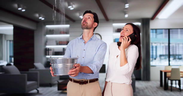 Best Water damage restoration near me  in Smackover, AR